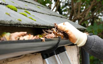 gutter cleaning Halsway, Somerset