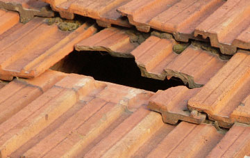 roof repair Halsway, Somerset